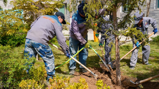 k8����������Ӯ�ҡ�һ������(�й���)�ٷ���վ